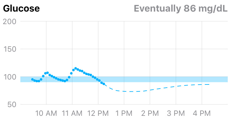 Graph of Blood Glucose showing measured points and predicted dashed line